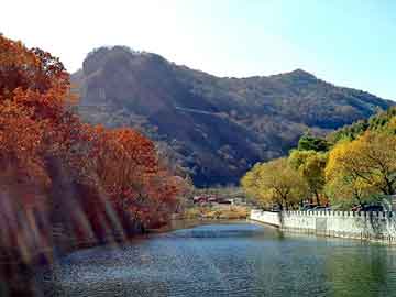 澳门二四六天天彩图库，范冰冰苹果